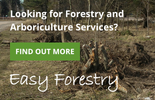 Forestry and Arboriculture Services by Easy Forestry
