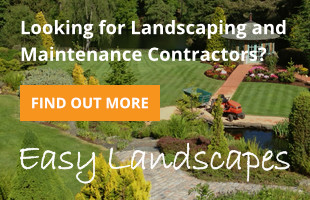 Landscaping and Maintenance Contracting by Easy Landscapes